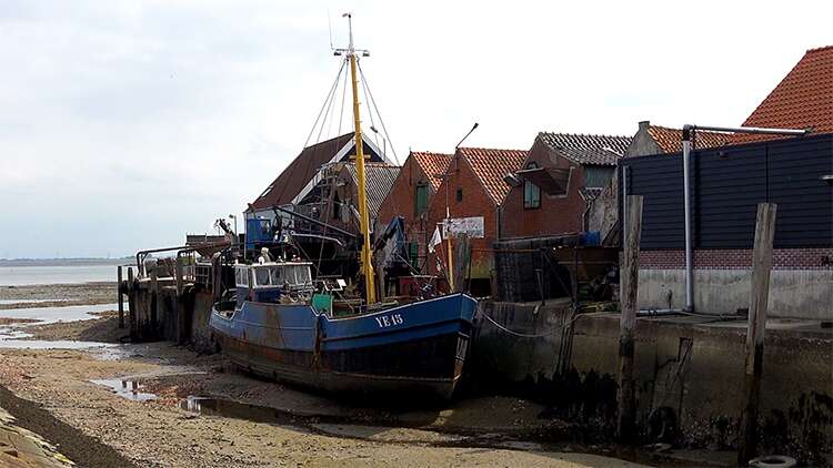 Eco Oester Yerseke dorp Yerseke